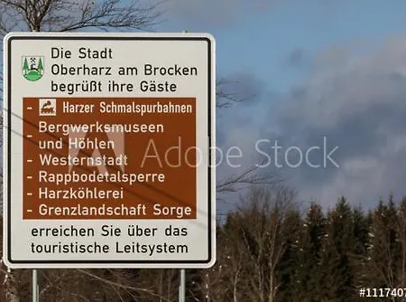 Waldrandzauber *