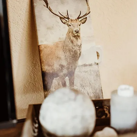 Waldrandzauber Benneckenstein