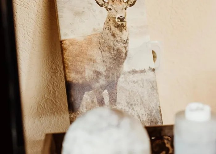 Waldrandzauber Benneckenstein